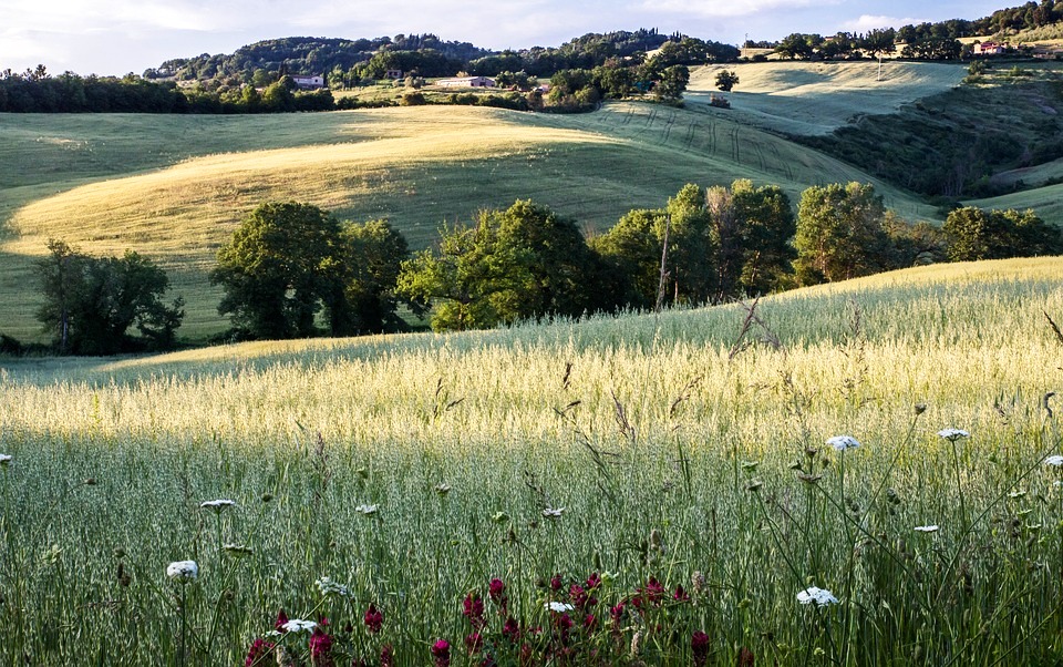 Tuscany Landscape